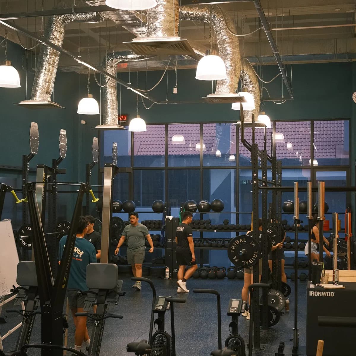 The training floor at Heave S&C, with squat racks, air bikes and dumbbells